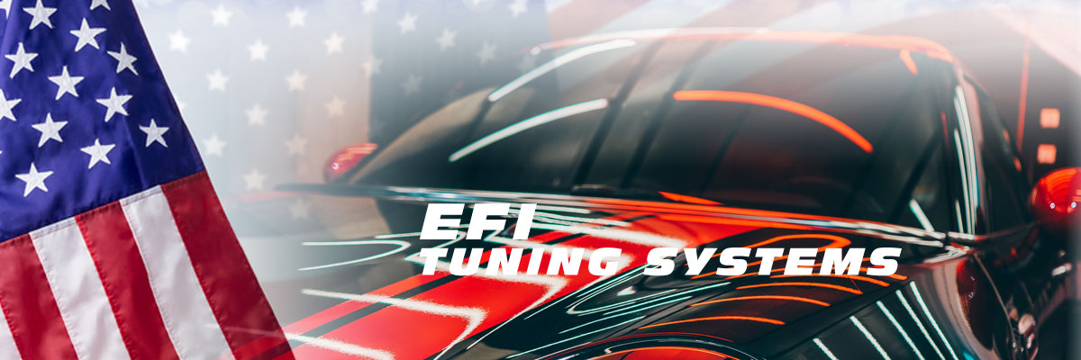 EFI Fuel Injection Systems